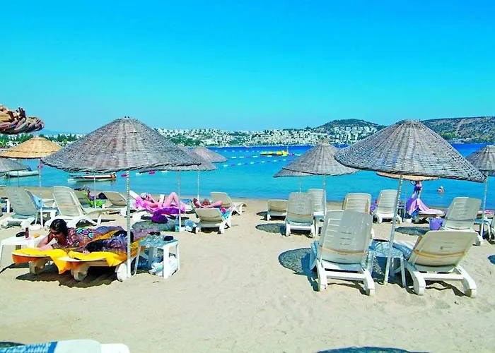 Costa 3s 4*