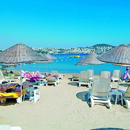 Costa 3s 4*